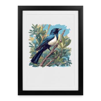 Pies Magpie - Affiche encadrée (27 × 37 cm) - noir - Devant
