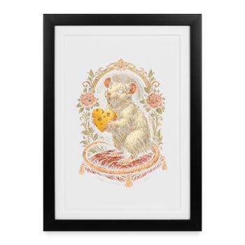 Rat de couleur Rat fantaisie Rat de la grande souris Rat domestique - Affiche encadrée (27 × 37 cm) - noir - Devant