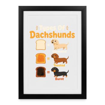 Types drôles de teckels et chiens - Affiche encadrée (27 × 37 cm) - noir - Devant