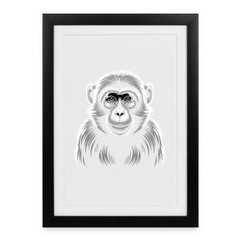 Singe - Affiche encadrée (27 × 37 cm) - noir - Devant
