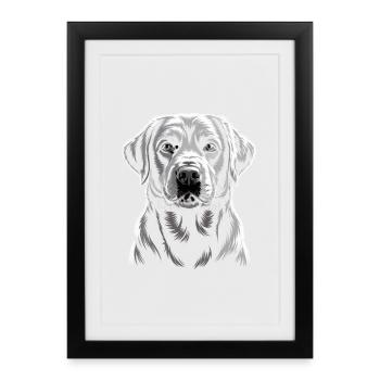 Labrador - Affiche encadrée (27 × 37 cm) - noir - Devant