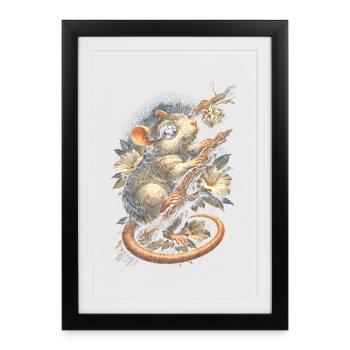 Rat de couleur Rat fantaisie Rat de la grande souris Rat domestique - Affiche encadrée (27 × 37 cm) - noir - Devant