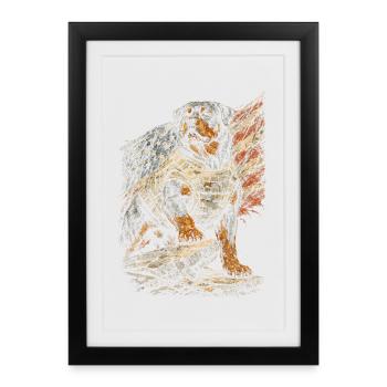 Rottweiler Dog - Framed poster (27 × 37 cm) - black - Front
