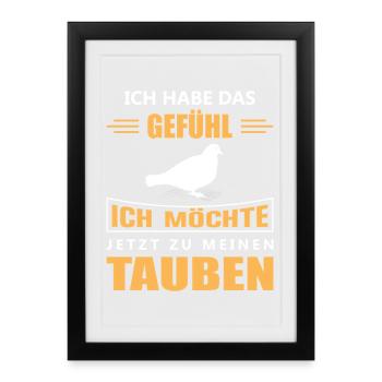 Taubenzüchter Taube Taubenzucht Spruch Brieftaube - Gerahmtes Poster (27 × 37 cm) - Schwarz - Vorne