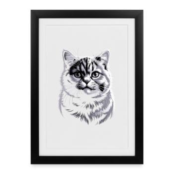 British Shorthair BKH - Framed poster (27 × 37 cm) - black - Front