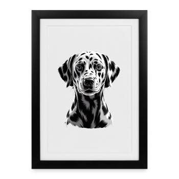 Dalmate - Affiche encadrée (27 × 37 cm) - noir - Devant