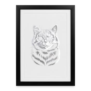 British Shorthair BKH - Framed poster (27 × 37 cm) - black - Front