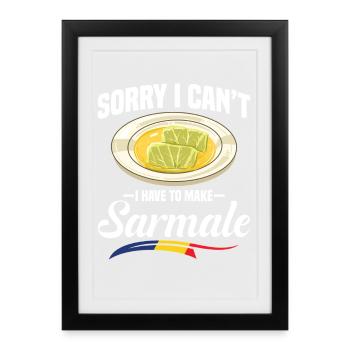 Sarmale Costume Snack Dish Romanian Flag Sarmale - Framed poster (27 × 37 cm) - black - Front