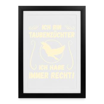 Taube Taubenzüchter Brieftaubensport Taubenverein - Gerahmtes Poster (27 × 37 cm) - Schwarz - Vorne