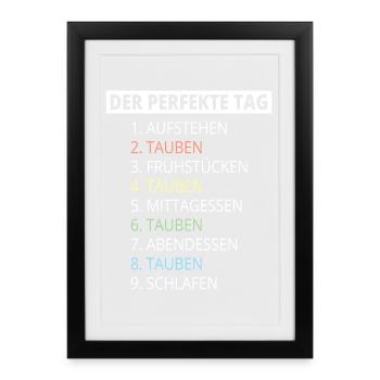 Taubenzüchter Spruch Lustig Taubenflüsterer - Gerahmtes Poster (27 × 37 cm) - Schwarz - Vorne