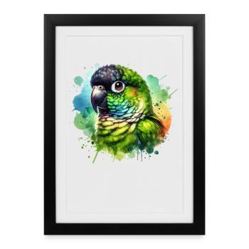 Nandays' parakeet motif - Framed poster (27 × 37 cm) - black - Front