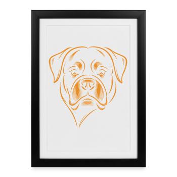 Rottweiler Dog - Framed poster (27 × 37 cm) - black - Front