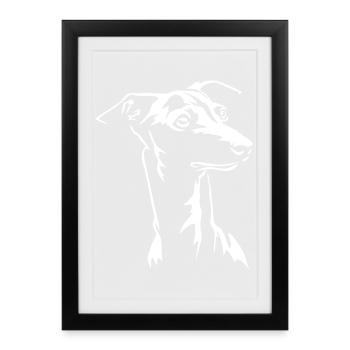 Tête de lévrier italien « Édition noire » - Affiche encadrée (27 × 37 cm) - noir - Devant