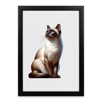 Siamese cat - Framed poster (27 × 37 cm) - black - Front