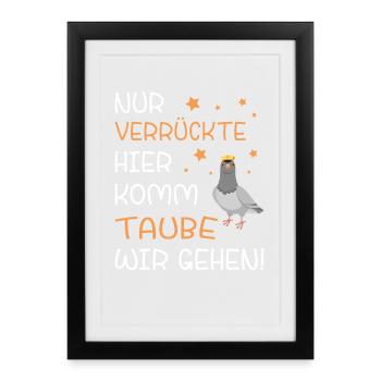 Taube Taubenzüchter Brieftaubensport Taubenverein - Gerahmtes Poster (27 × 37 cm) - Schwarz - Vorne