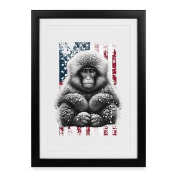 Macaque japonais US Japanmakak - Affiche encadrée (27 × 37 cm) - noir - Devant