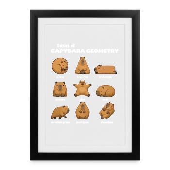 Basics of Capybara Geometry Funnier - Framed poster (27 × 37 cm) - black - Front