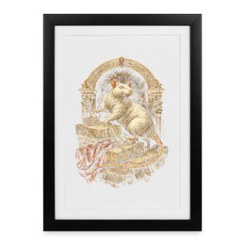 Rat de couleur Rat fantaisie Rat de la grande souris Rat domestique - Affiche encadrée (27 × 37 cm) - noir - Devant