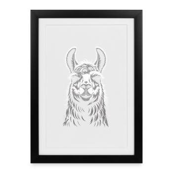 Llama Portrait - Framed poster (27 × 37 cm) - black - Front