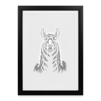 Llama Portrait - Framed poster (27 × 37 cm) - black - Front
