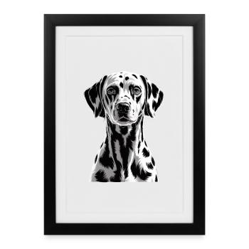 Dalmate - Affiche encadrée (27 × 37 cm) - noir - Devant