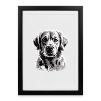 Labrador - Affiche encadrée (27 × 37 cm) - noir - Devant