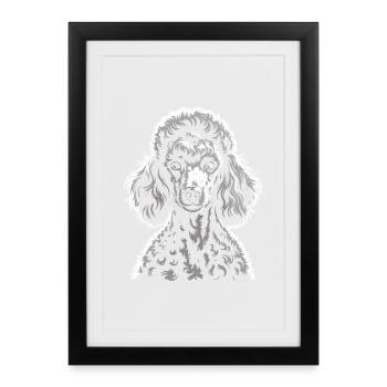 Caniche - Affiche encadrée (27 × 37 cm) - noir - Devant