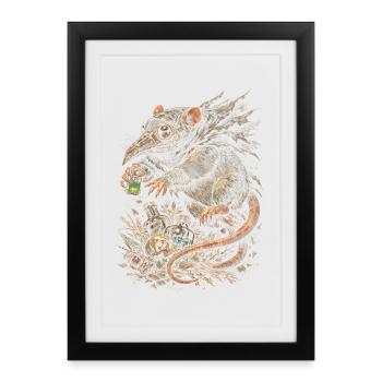 Maison de Rats Colorés Maison Spéciale Médecin de la Peste des Rats - Affiche encadrée (27 × 37 cm) - noir - Devant