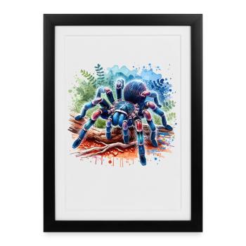 Cadeau de la tarentule saphir Gooty - Affiche encadrée (27 × 37 cm) - noir - Devant