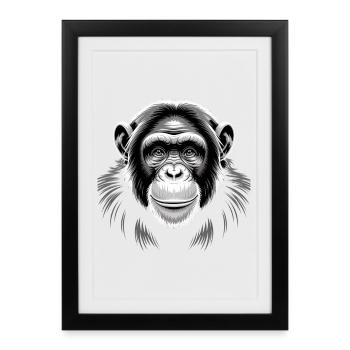 Chimpanzé singe - Affiche encadrée (27 × 37 cm) - noir - Devant
