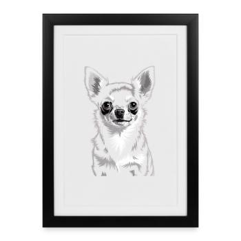 Chihuahua - Affiche encadrée (27 × 37 cm) - noir - Devant