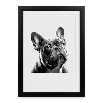 Bulldog Français Visage de Bully Blanc Noir - Affiche encadrée (27 × 37 cm) - noir - Devant