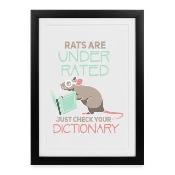 Rat, rat de maison, propriétaire de rats, amoureux des rats - Affiche encadrée (27 × 37 cm) - noir - Devant