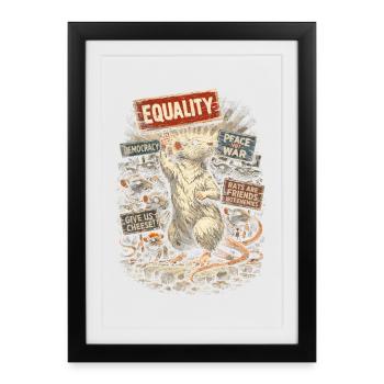 Rat de couleur Rat fantaisie Rat de la grande souris Rat domestique - Affiche encadrée (27 × 37 cm) - noir - Devant