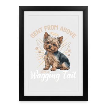 Yorkshire Terrier Yorkshire Race de chien Yorkshire - Affiche encadrée (27 × 37 cm) - noir - Devant