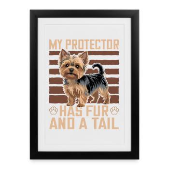Yorkshire Terrier Yorkshire Race de chien Yorkshire - Affiche encadrée (27 × 37 cm) - noir - Devant