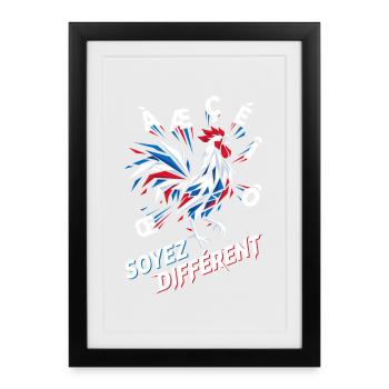 Coq Gaulois & Lettres Françaises Soyez Différent - Affiche encadrée (27 × 37 cm) - noir - Devant