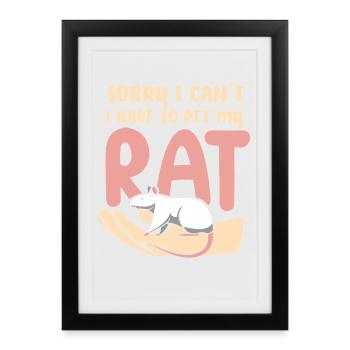 Rat, rat de maison, propriétaire de rats, amoureux des rats - Affiche encadrée (27 × 37 cm) - noir - Devant