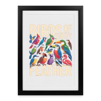 Vogel des Oiseaux de Chaque Plume - Affiche encadrée (27 × 37 cm) - noir - Devant