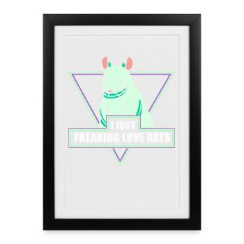 Rat, rat de maison, propriétaire de rats, amoureux des rats - Affiche encadrée (27 × 37 cm) - noir - Devant