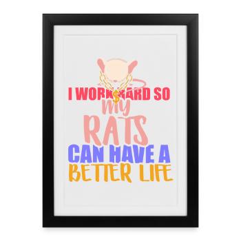 Rat, rat de maison, propriétaire de rats, amoureux des rats - Affiche encadrée (27 × 37 cm) - noir - Devant