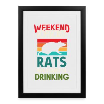 Rat, rat de maison, propriétaire de rats, amoureux des rats - Affiche encadrée (27 × 37 cm) - noir - Devant