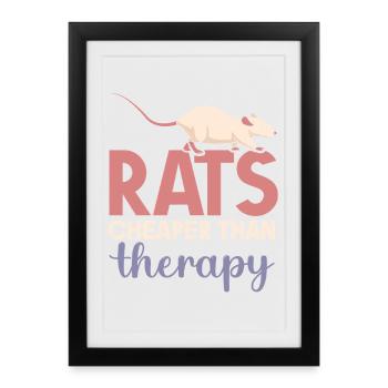 Rat, rat de maison, propriétaire de rats, amoureux des rats - Affiche encadrée (27 × 37 cm) - noir - Devant