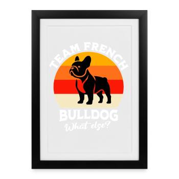 Équipe Bouledogue Français - Affiche encadrée (27 × 37 cm) - noir - Devant