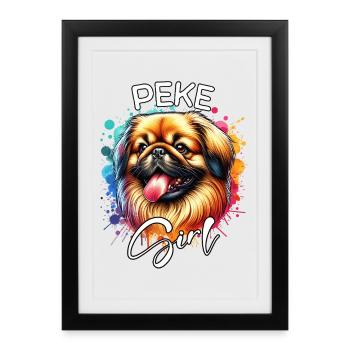 Pekingese Girls Pekingese - Framed poster (27 × 37 cm) - black - Front