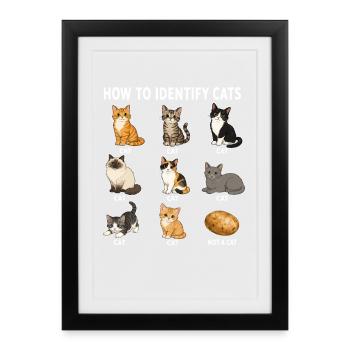 How To Recognize Cats Funny Cat Diagram - Framed poster (27 × 37 cm) - black - Front
