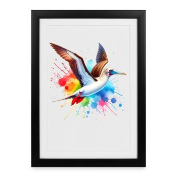 Red-footed booby gift - Framed poster (27 × 37 cm) - black - Front