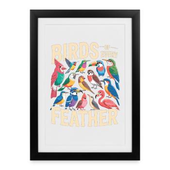 Birds of Every Feather Vogel Vielfalt - Framed poster (27 × 37 cm) - black - Front