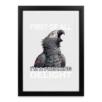 Perroquet gris coquin Sarcasme Perroquet drôle - Affiche encadrée (27 × 37 cm) - noir - Devant