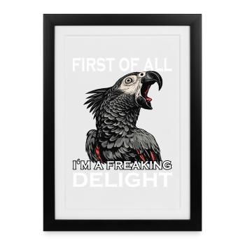 Perroquet gris d’Afrique sarcastique Perroquet drôle d’oiseau - Affiche encadrée (27 × 37 cm) - noir - Devant